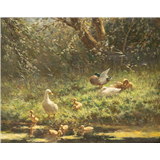 Constant Ludovic Artz – Eendenfamilie, gesigneerd rechtsonder, olieverf op doek, 39 x 48 cm – kavel bij Venduhuis De Eland