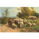 Henry Schouten – Schapen op de heide, gesigneerd linksonder, olieverf op doek, 60 x 90 cm – kavel bij Venduhuis De Eland