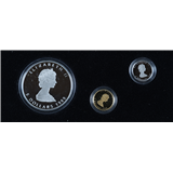 Candese set Maple Leaf, cassette van 999/1000 zilveren 5 Dollar, 9995 platina 5- Dollar en 9999 geelgouden 5-Dollar, allen 1989 – kavel bij Veilinghuis Omnia