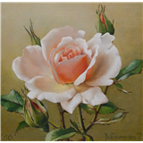 Jan Voerman jr – Roze roosgesigneerd JVoerman Jr rechtsonder en gedateerd '50 linksonderolieverf op paneel14,5 x 14,5 cm – kavel bij Van Spengen